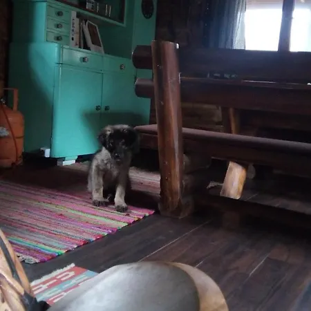 Log Jovicic Chalet *