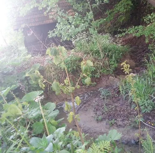 Log Jovicic Brvnara *